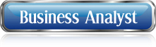 Business Analyst