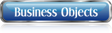 Business Objects